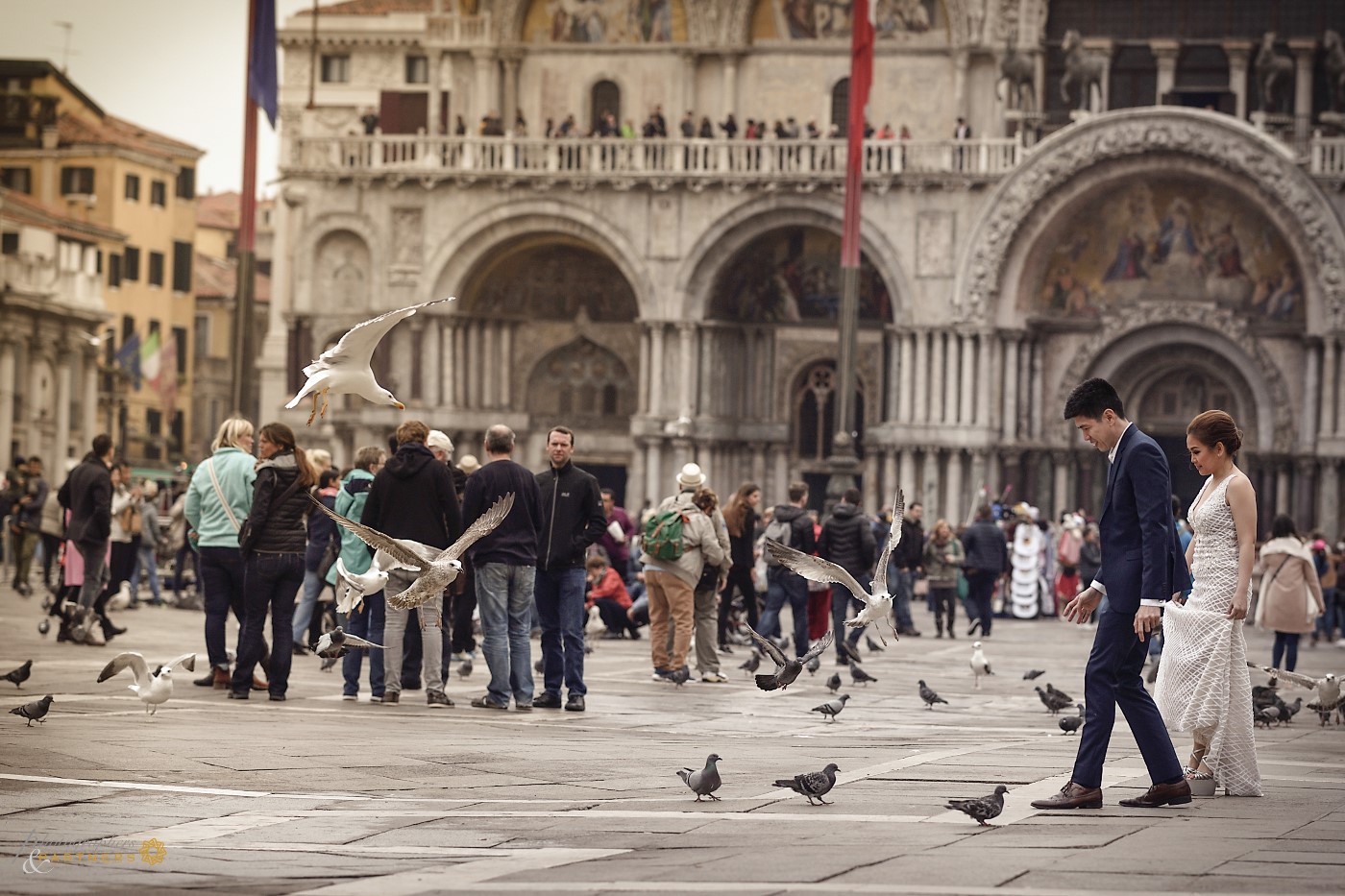 Crossing Piazza San Marco between pigeons and seagulls 🍃