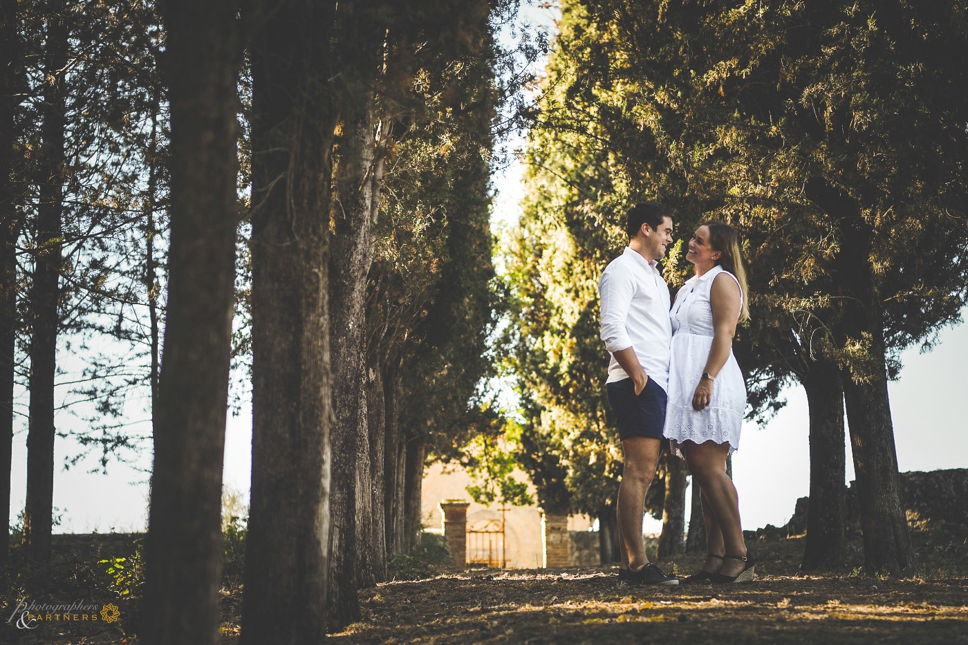 Romantic moment in the cypresses avenue