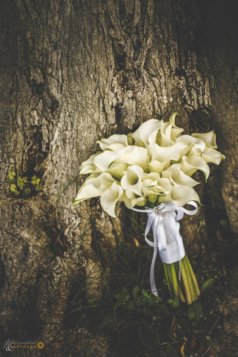 The wedding bouquet.