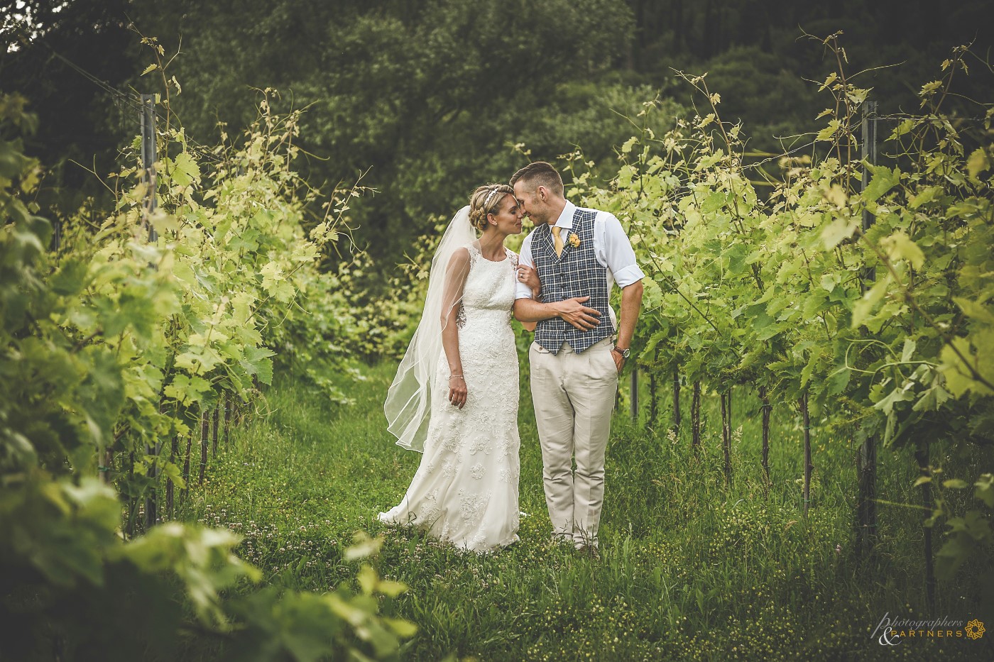 🍃 Romantic moment among the vineyards 🍃