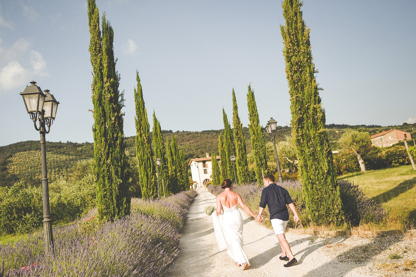 🍃 Along the avenue of cypresses 🍃