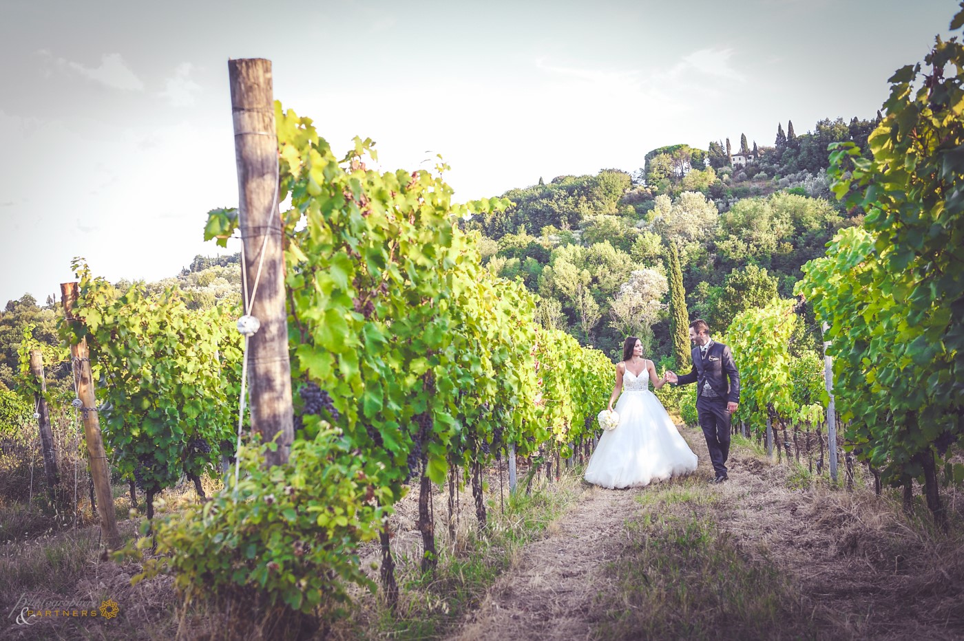 🍃 A walk in the vineyard 🍃