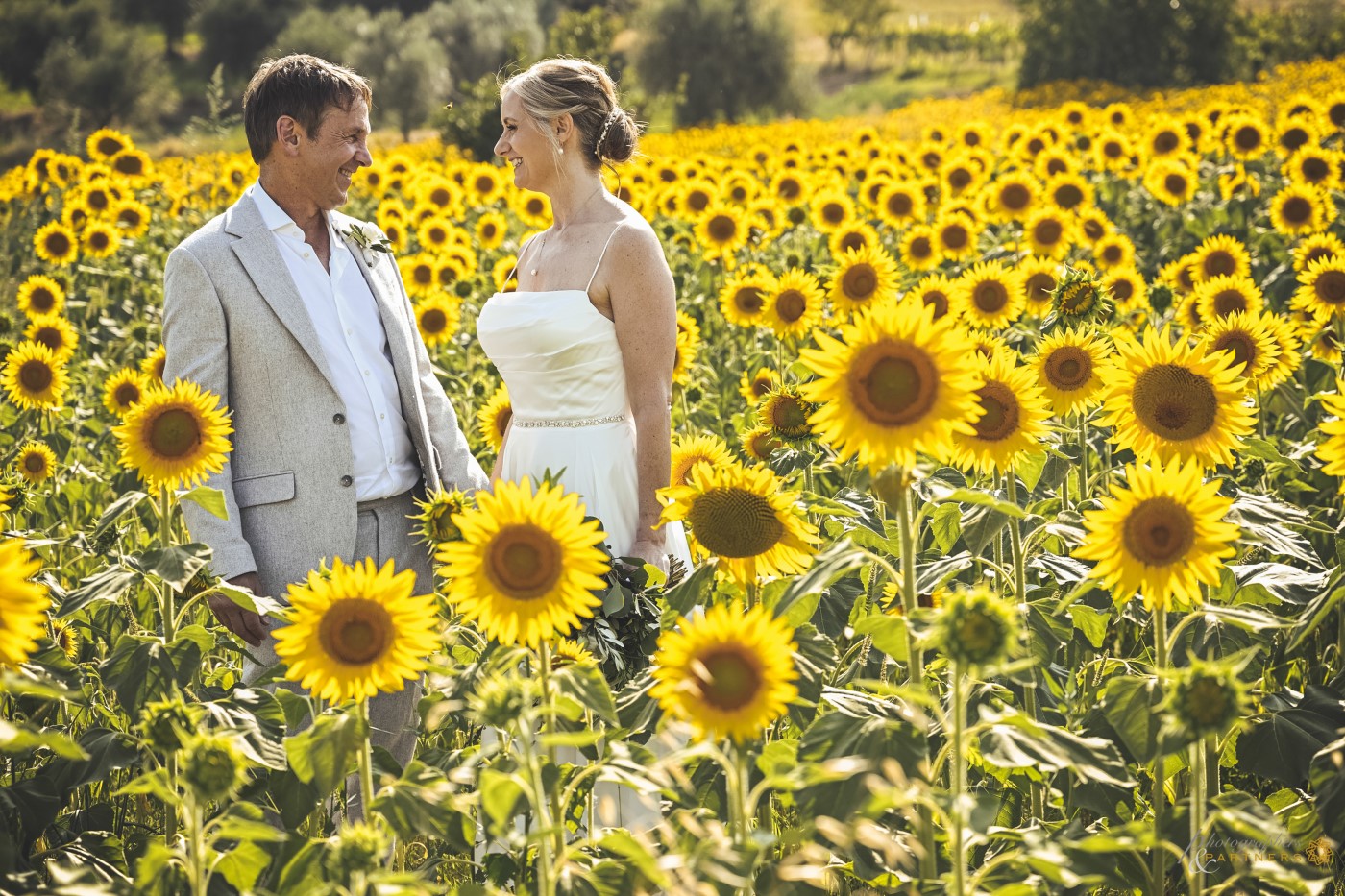 A shot in the sunflowers