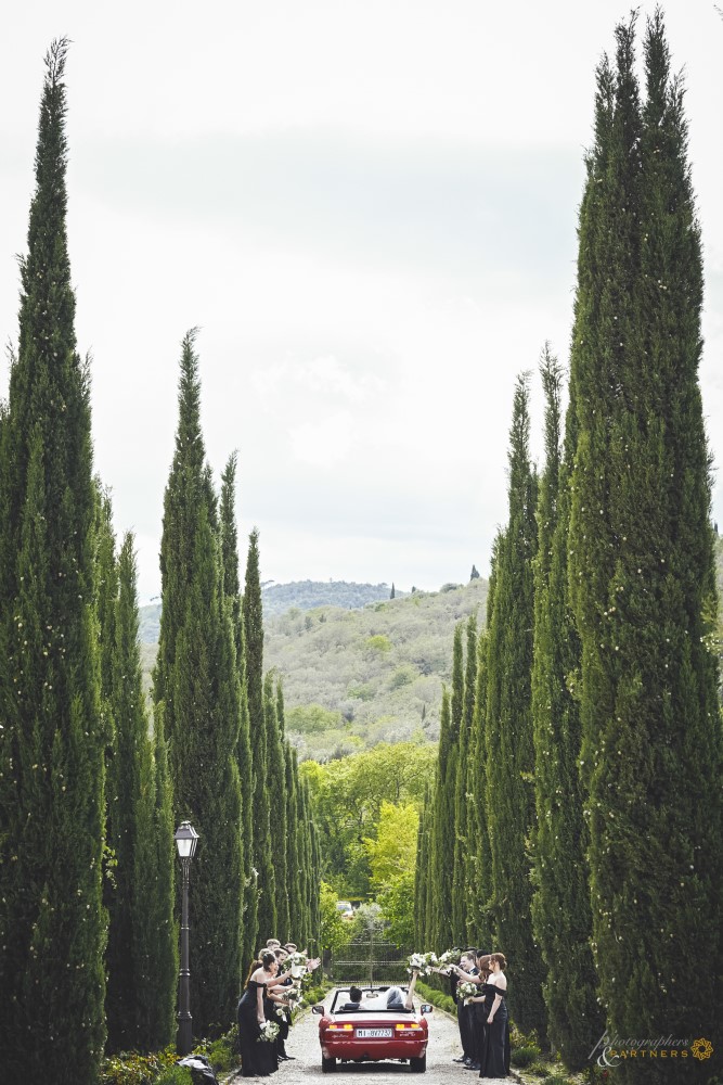 The cypresses avenue