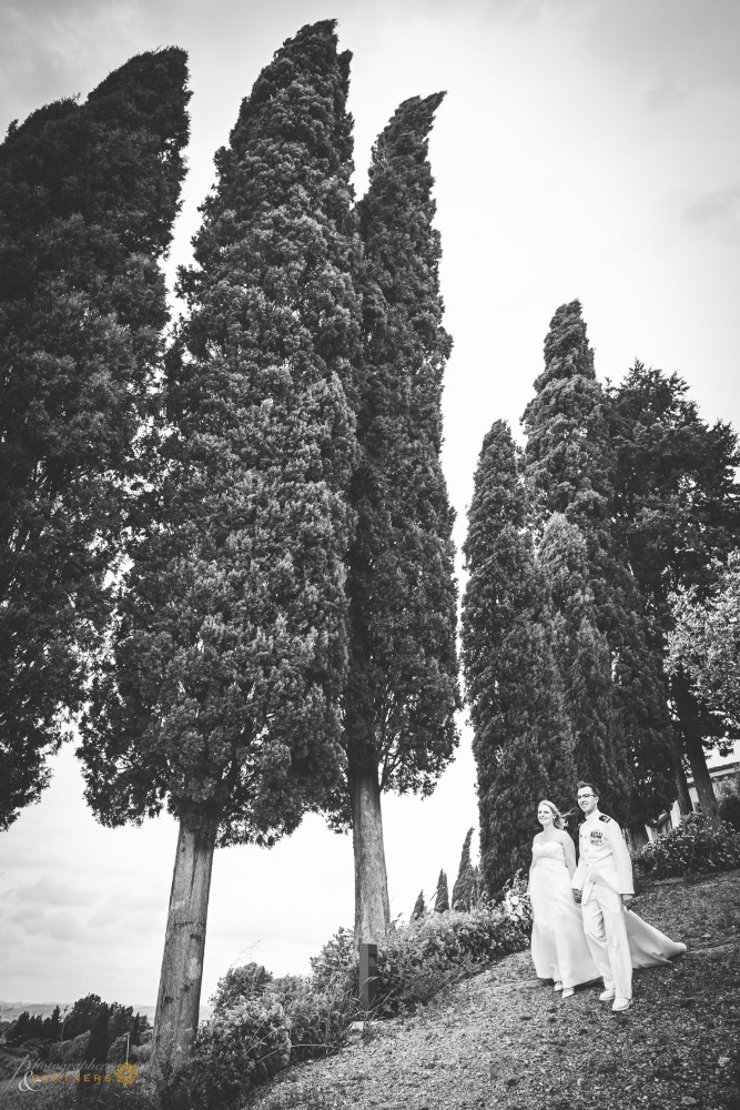 Cypresses avenue