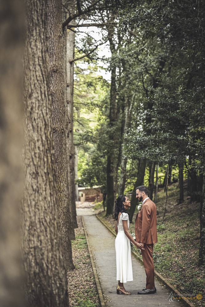 A walk in the tree-lined avenue