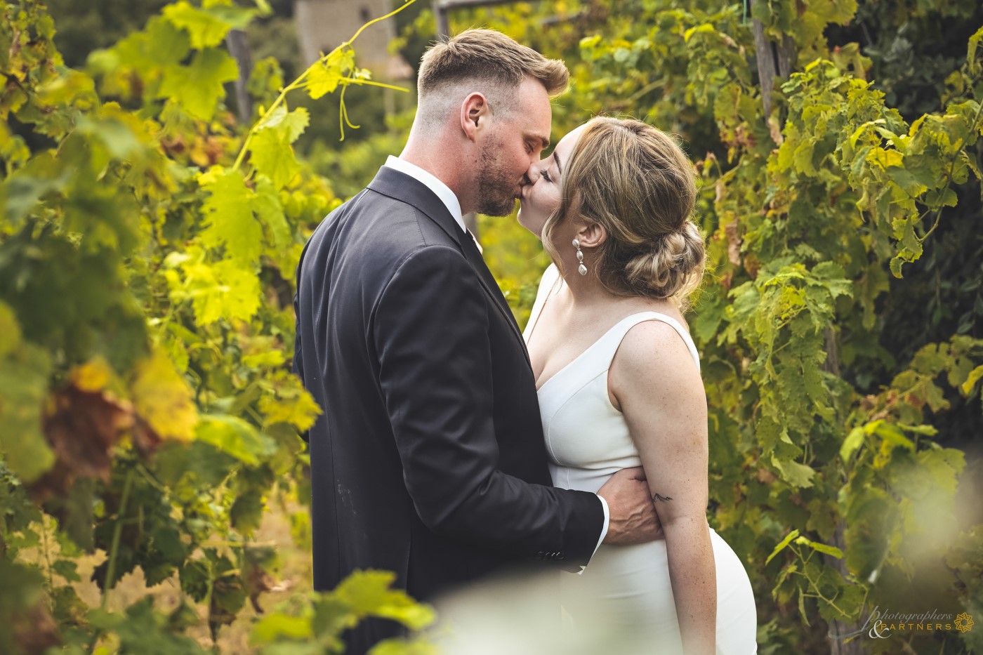 Kiss in the vineyard